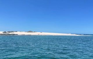 Pink Island