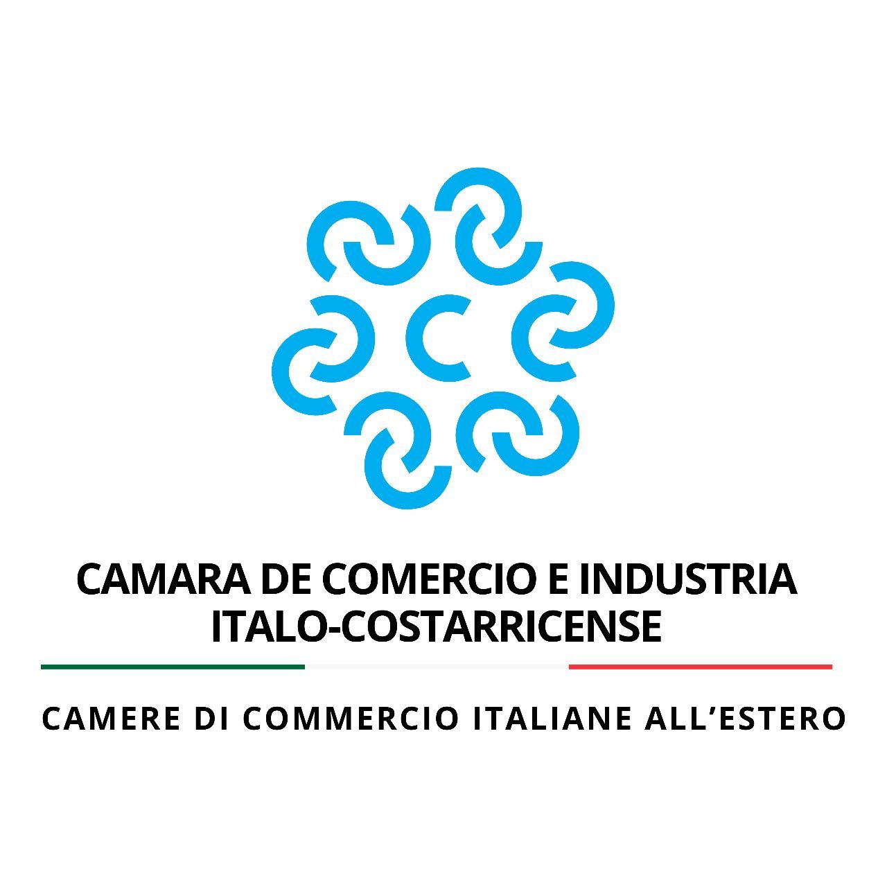Logo CIC ITALIAN-COSTA RICAN CHAMBER OF COMMERCE Logo CIC ITALIAN-COSTA RICAN CHAMBER OF COMMERCE