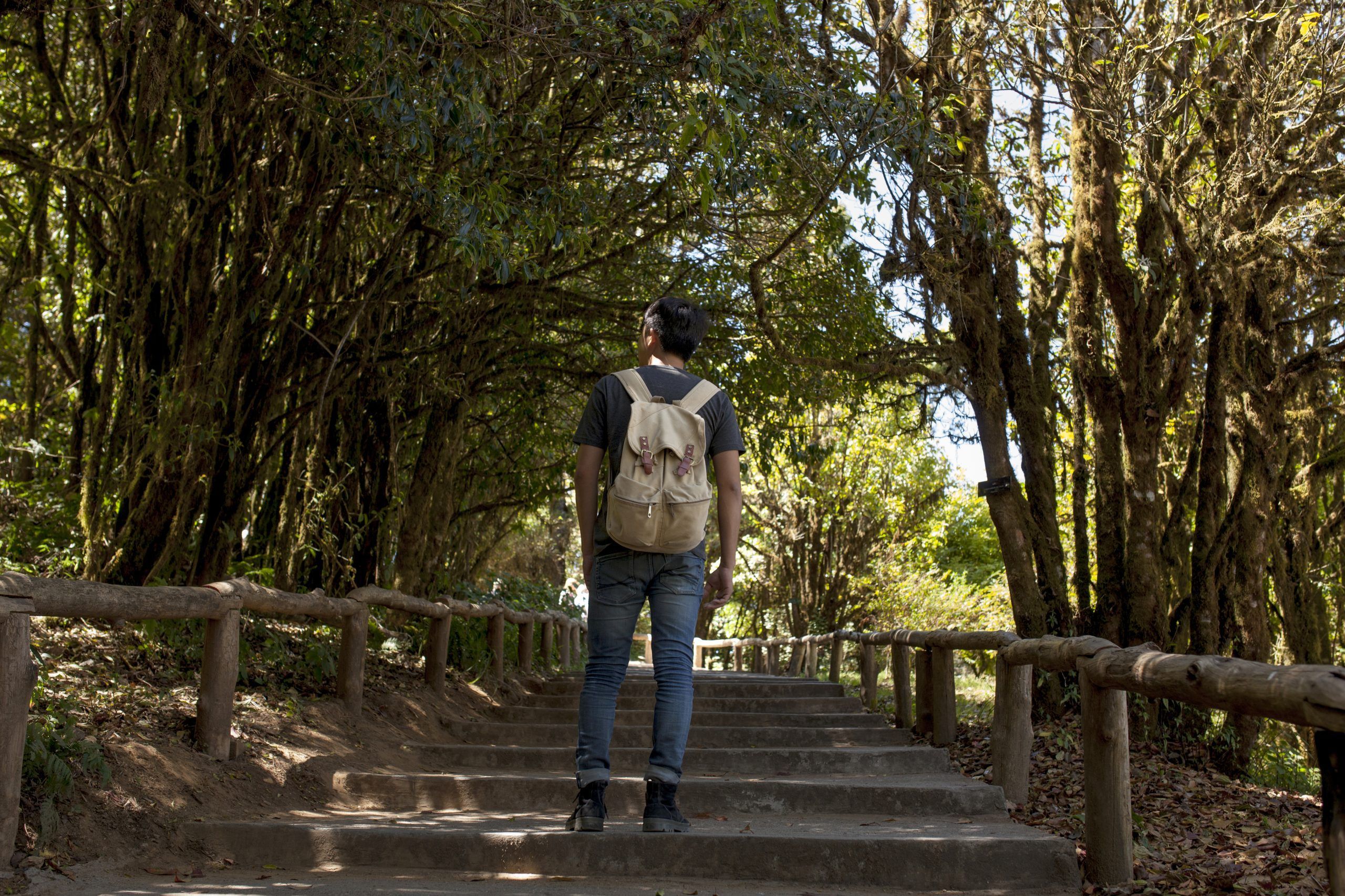 Day 3: Take a Walk